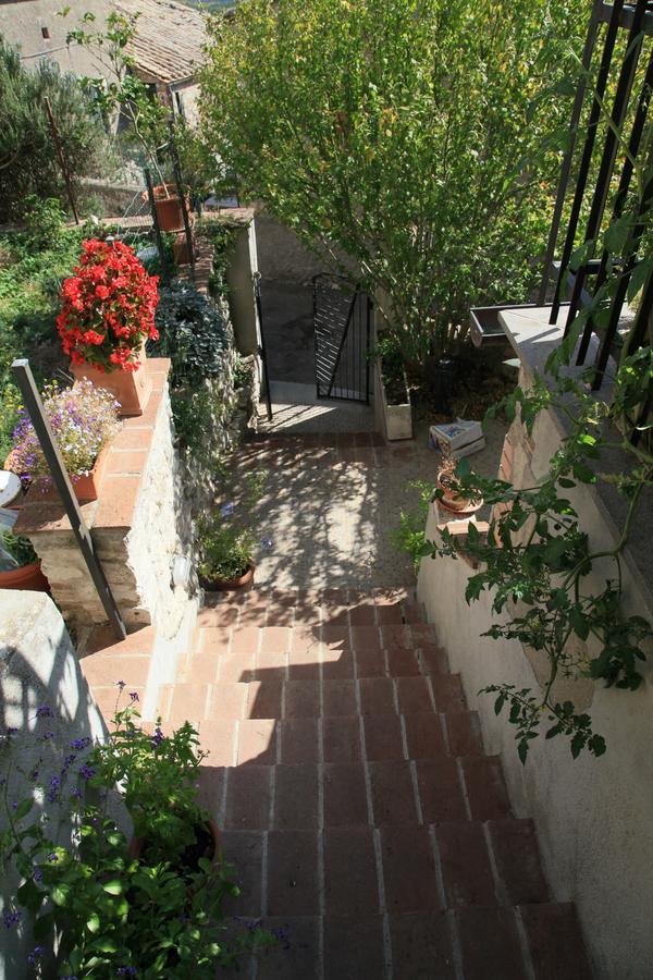 B&B Porchiano Del Monte Amelia Exterior photo